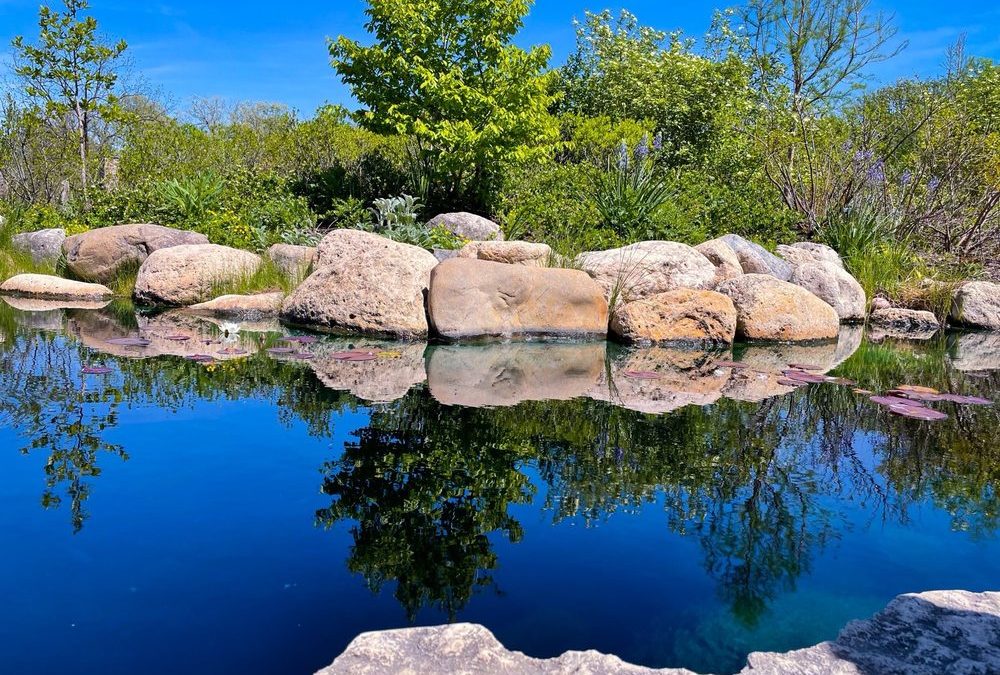 Cantigny Park: Where History and Recreation Merge